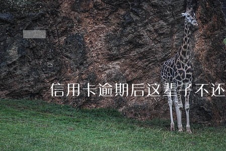 信用卡逾期后这辈子不还 信用卡逾期后这辈子不还