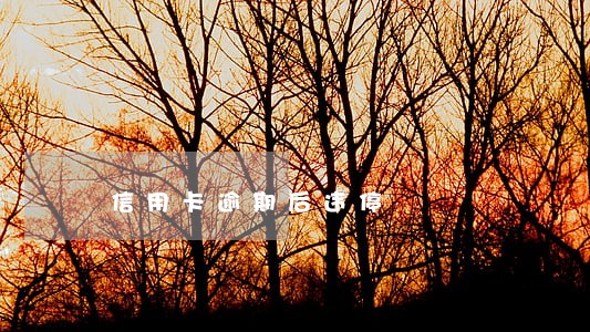 信用卡逾期后违停