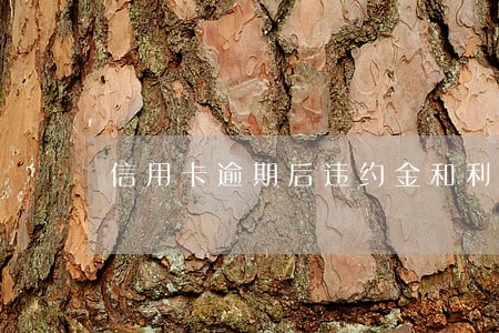 信用卡逾期后违约金和利息吗 信用卡逾期后违约金和利息吗