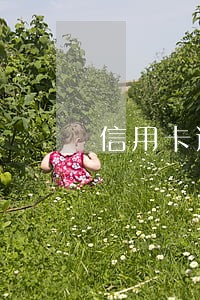 信用卡逾期后违约金怎么计算 信用卡逾期后违约金怎么计算