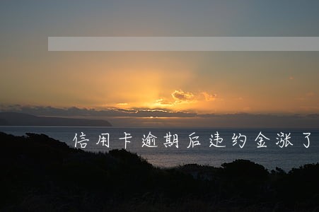 信用卡逾期后违约金涨了怎么办