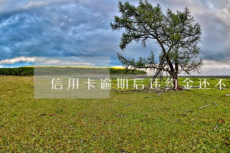 信用卡逾期后违约金还不上怎么办