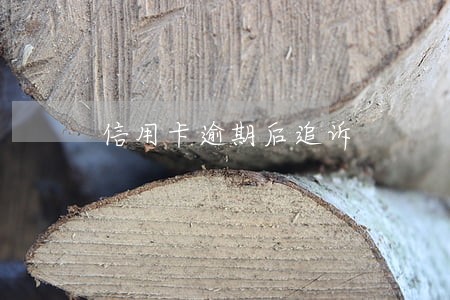 信用卡逾期后追诉
