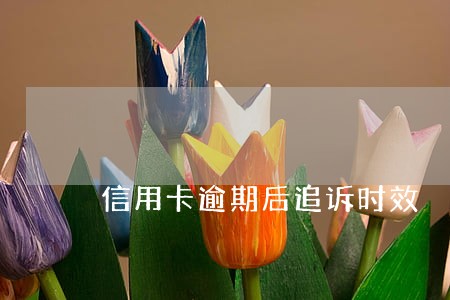 信用卡逾期后追诉时效 信用卡逾期后追诉时效