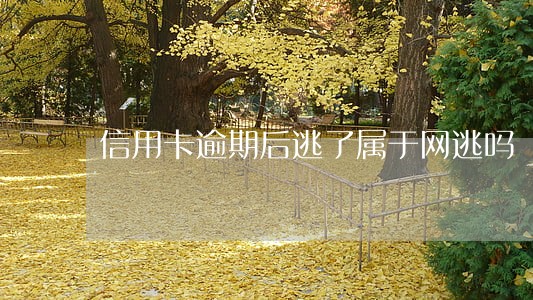 信用卡逾期后逃了属于网逃吗