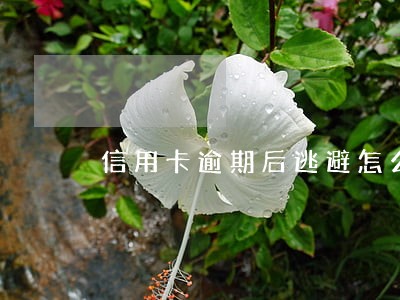 信用卡逾期后逃避怎么办 信用卡逾期后逃避怎么办