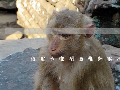 信用卡逾期后通知家人 信用卡逾期后通知家人