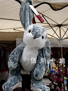 信用卡逾期后通知已立案 信用卡逾期后通知已立案