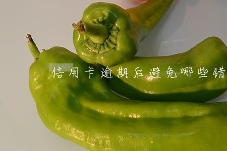 信用卡逾期后避免哪些错误 信用卡逾期后避免哪些错误