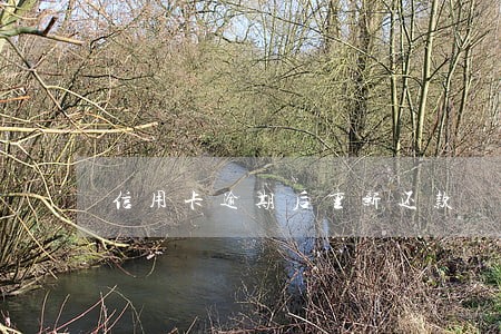 信用卡逾期后重新还款