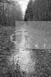 信用卡逾期后钱一进账就被划扣