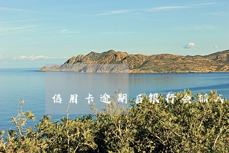 信用卡逾期后银行会抓人吗 信用卡逾期后银行会抓人吗