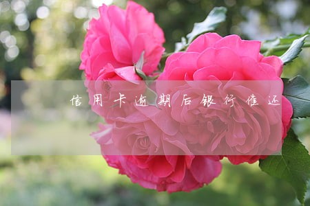信用卡逾期后银行催还