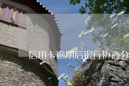 信用卡逾期后银行协商分期还款 信用卡逾期后银行协商分期还款