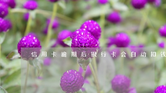 信用卡逾期后银行卡会自动扣钱吗