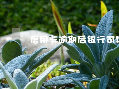 信用卡逾期后银行可以上门吗 信用卡逾期后银行可以上门吗
