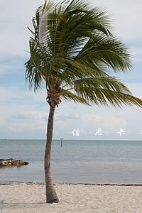 信用卡逾期后银行外包催款的期限
