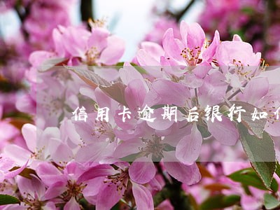 信用卡逾期后银行如何扣费 信用卡逾期后银行如何扣费