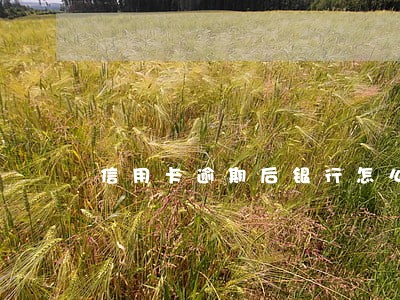 信用卡逾期后银行怎么取 信用卡逾期后银行怎么取