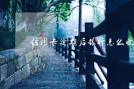 信用卡逾期后银行怎么收益 信用卡逾期后银行怎么收益