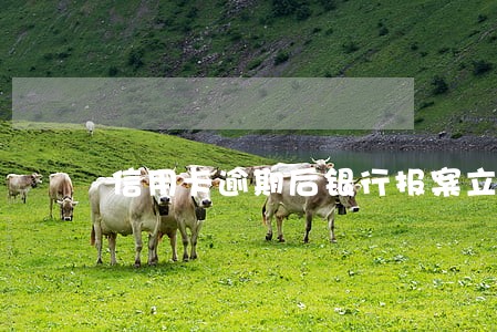 信用卡逾期后银行报案立案 信用卡逾期后银行报案立案