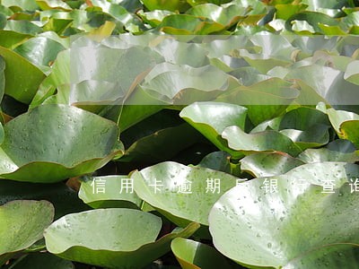 信用卡逾期后银行查询受限制 信用卡逾期后银行查询受限制