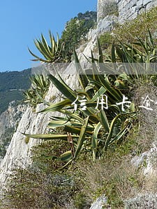信用卡逾期后银行的收入怎么算
