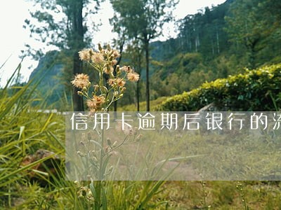 信用卡逾期后银行的流程 信用卡逾期后银行的流程