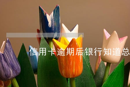 信用卡逾期后银行知道总负债 信用卡逾期后银行知道总负债