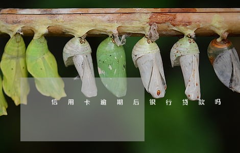信用卡逾期后银行贷款吗 信用卡逾期后银行贷款吗