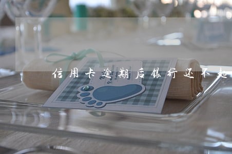 信用卡逾期后银行还不起会怎么样 信用卡逾期后银行还不起会怎么样