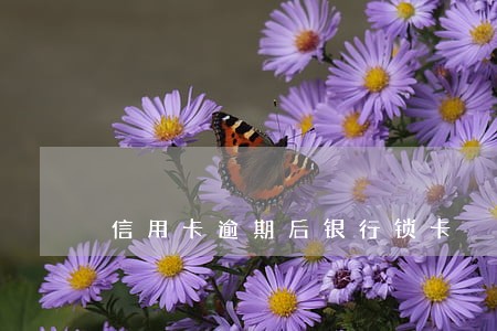 信用卡逾期后银行锁卡