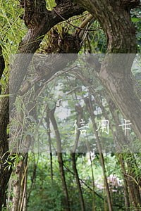 信用卡逾期后销卡了记录多久清楚 信用卡逾期后销卡了记录多久清楚