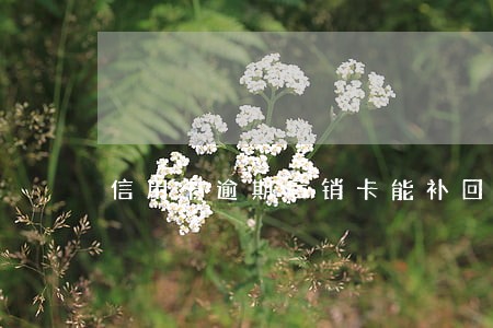 信用卡逾期后销卡能补回来么 信用卡逾期后销卡能补回来么