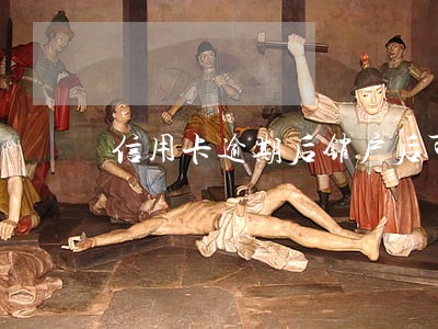信用卡逾期后销户后可以申请吗 信用卡逾期后销户后可以申请吗