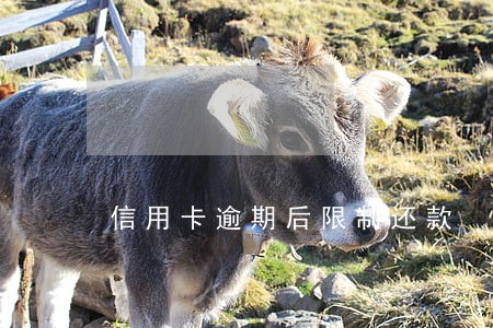信用卡逾期后限制还款 信用卡逾期后限制还款