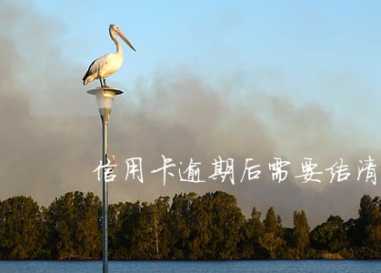 信用卡逾期后需要结清证明吗 信用卡逾期后需要结清证明吗