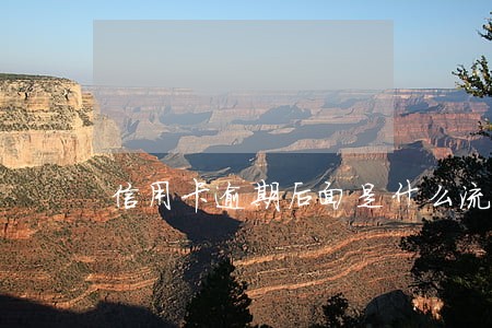 信用卡逾期后面是什么流程 信用卡逾期后面是什么流程