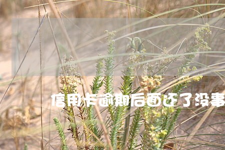 信用卡逾期后面还了没事吧 信用卡逾期后面还了没事吧