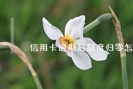 信用卡逾期后额度归零怎么办