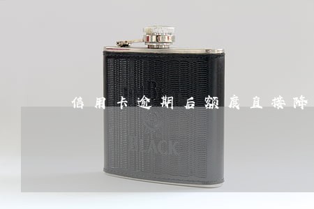 信用卡逾期后额度直接降到0 信用卡逾期后额度直接降到0