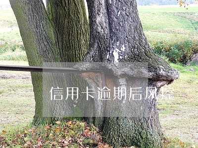 信用卡逾期后风控