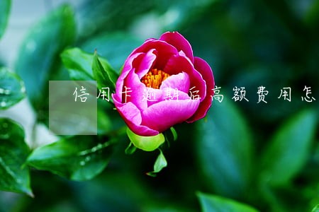 信用卡逾期后高额费用怎么办 信用卡逾期后高额费用怎么办