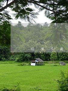 信用卡逾期向亲戚借款 信用卡逾期向亲戚借款
