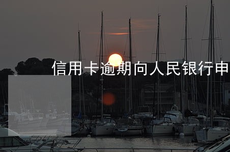 信用卡逾期向人民银行申请表 信用卡逾期向人民银行申请表