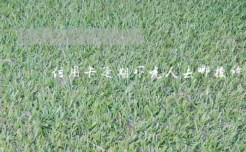信用卡逾期吓唬人去哪投诉