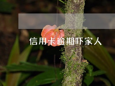 信用卡逾期吓家人