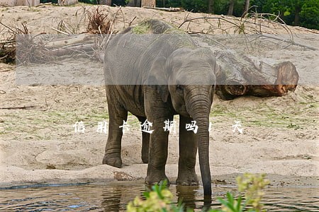 信用卡逾期吗1天 信用卡逾期吗1天