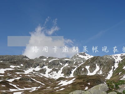 信用卡逾期呆帐现在利息还在涨 信用卡逾期呆帐现在利息还在涨