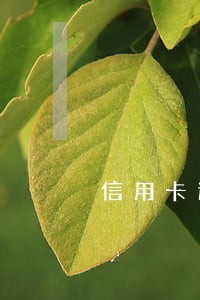 信用卡逾期呆滞费 信用卡逾期呆滞费